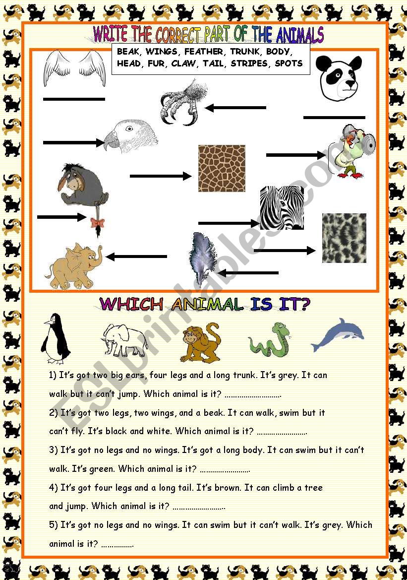 PART OF ANIMALS worksheet