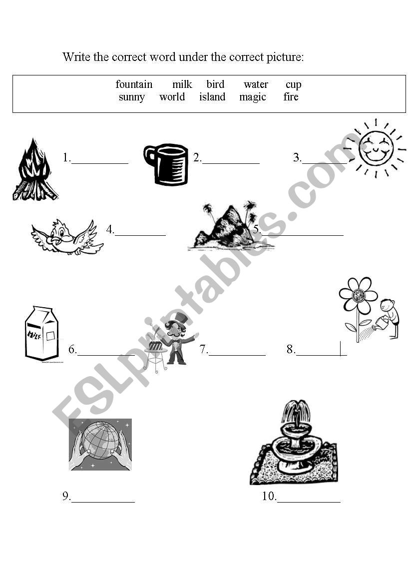 juniors worksheet