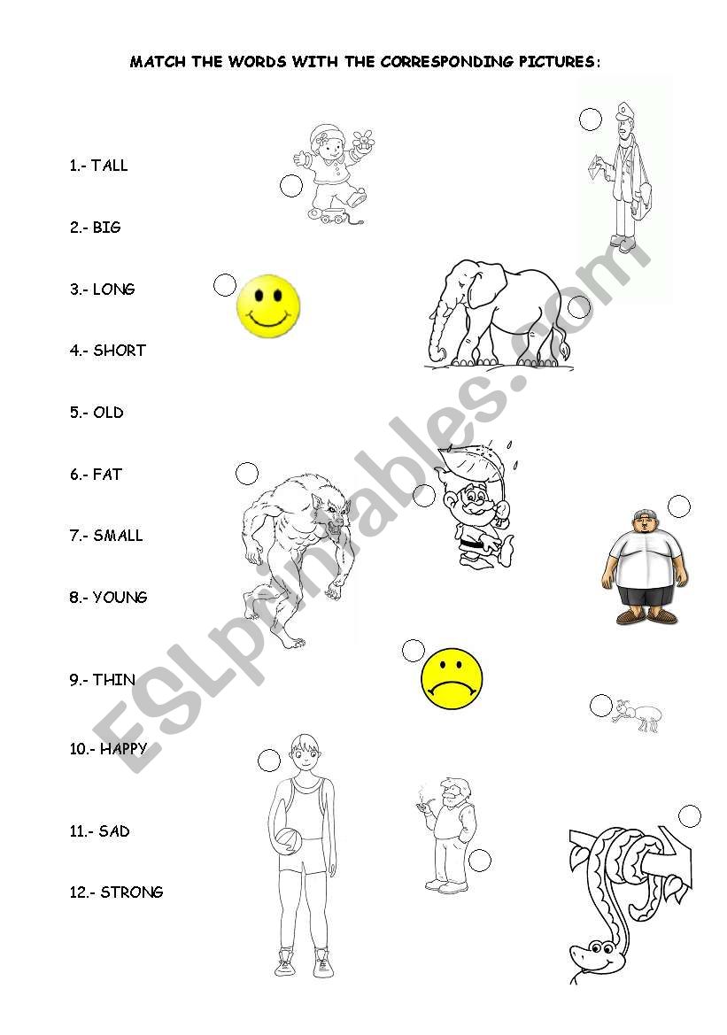 THE MOST IMPORTANT ADJECTIVES worksheet
