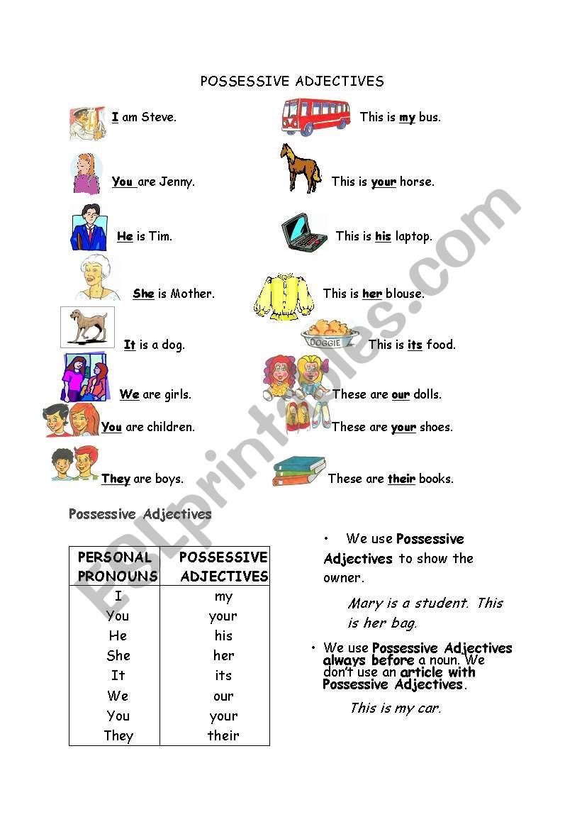 possessive adjectives worksheet