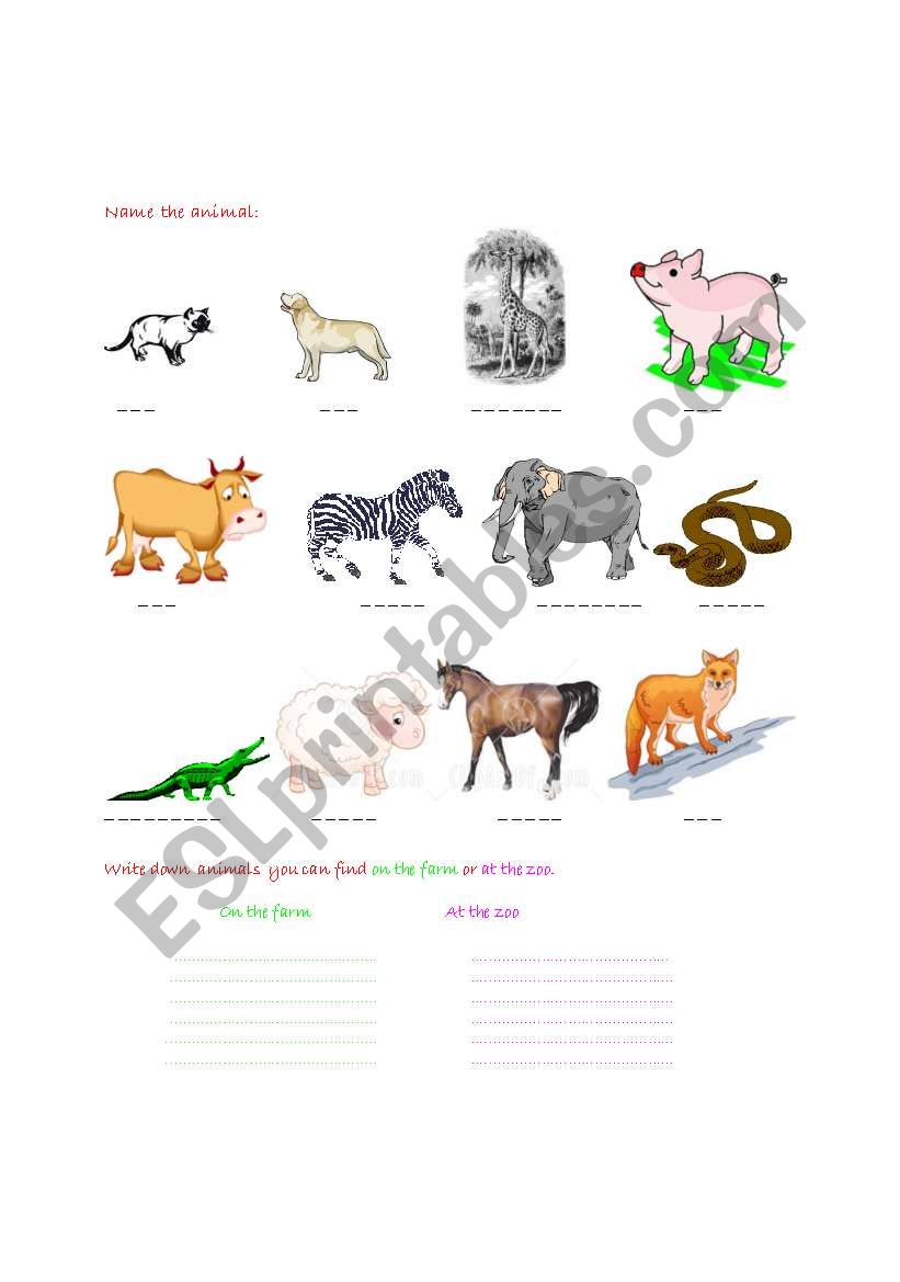 Find the animals worksheet
