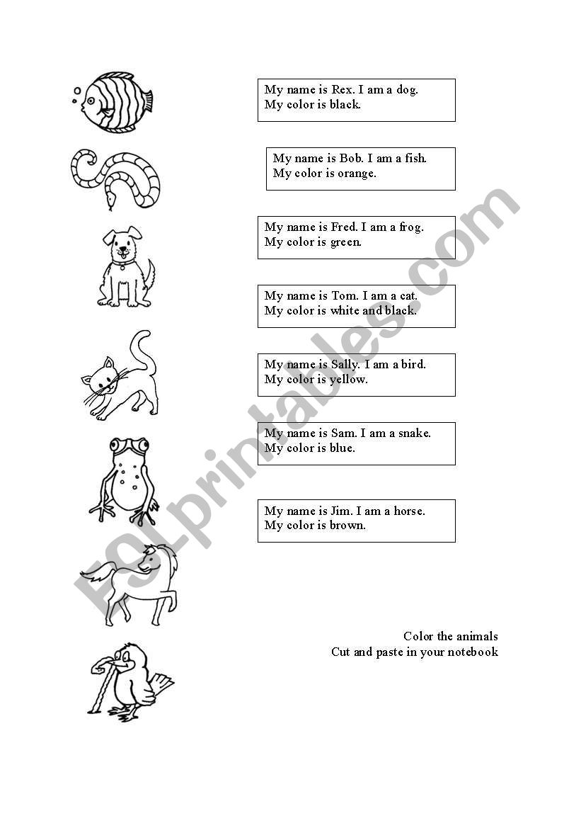 animals worksheet