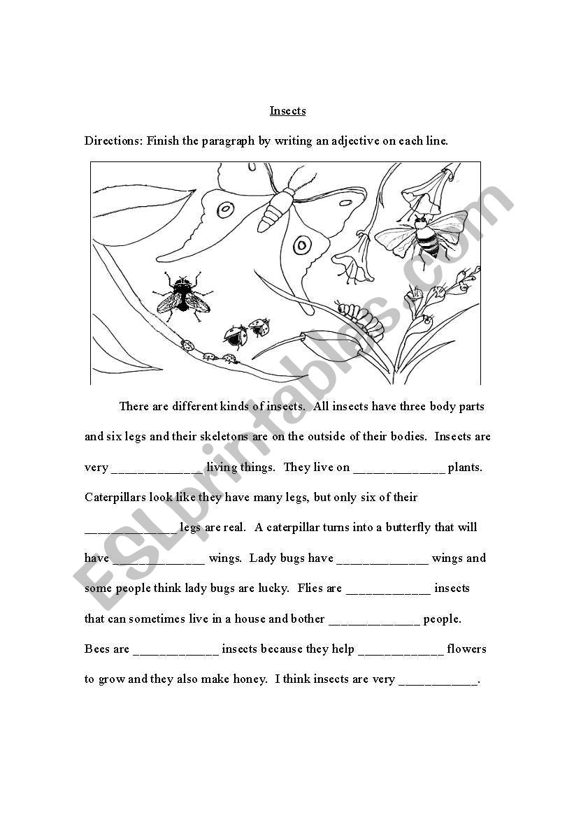 Insects and Adjectives worksheet