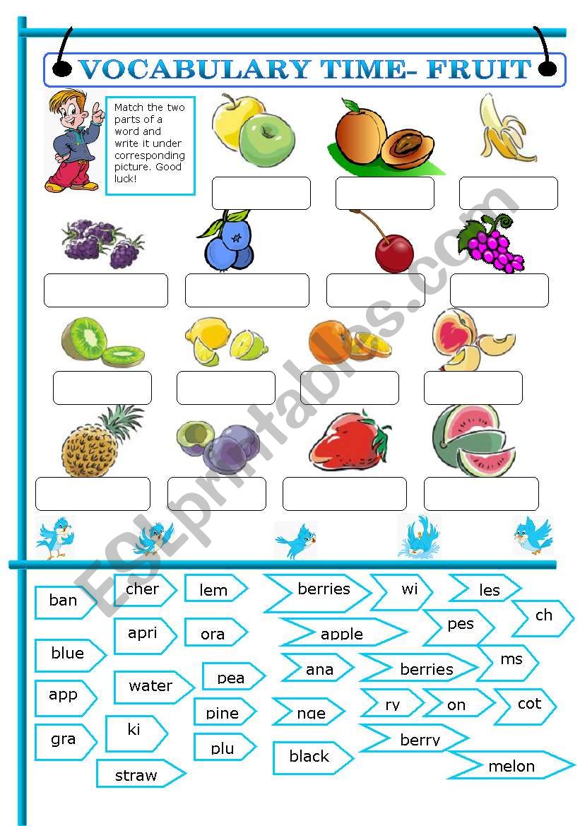 VOCABULARY TIME - FRUIT (plus bw version, editable)