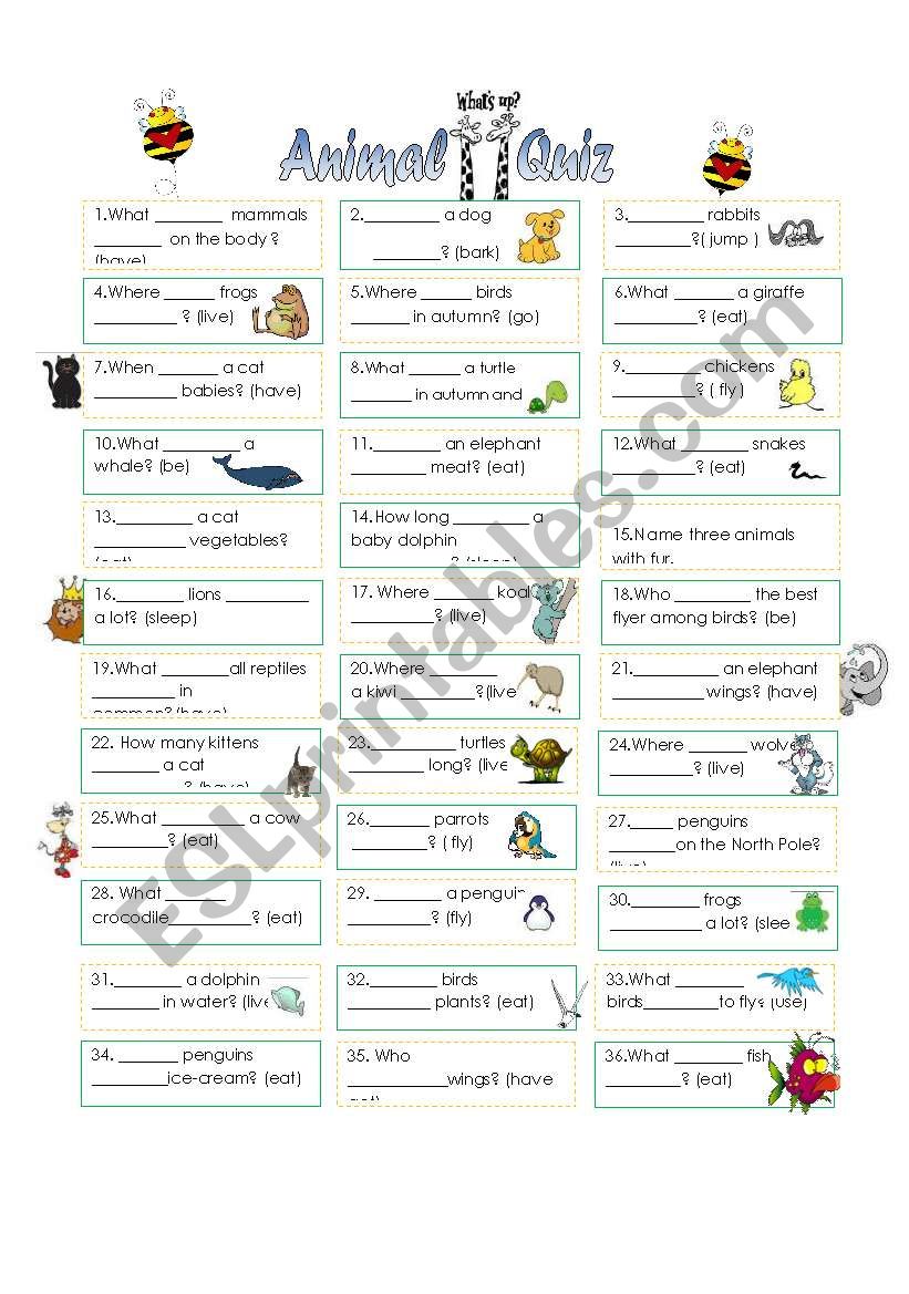 Animal quiz - present simple _DO_DOES_questions