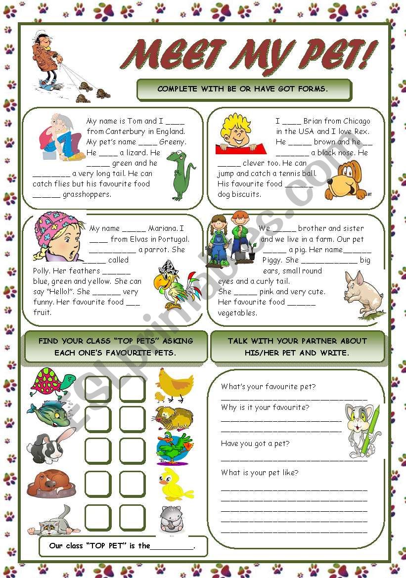 MEET MY PET! worksheet