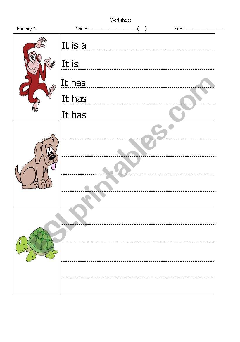 Animals worksheet