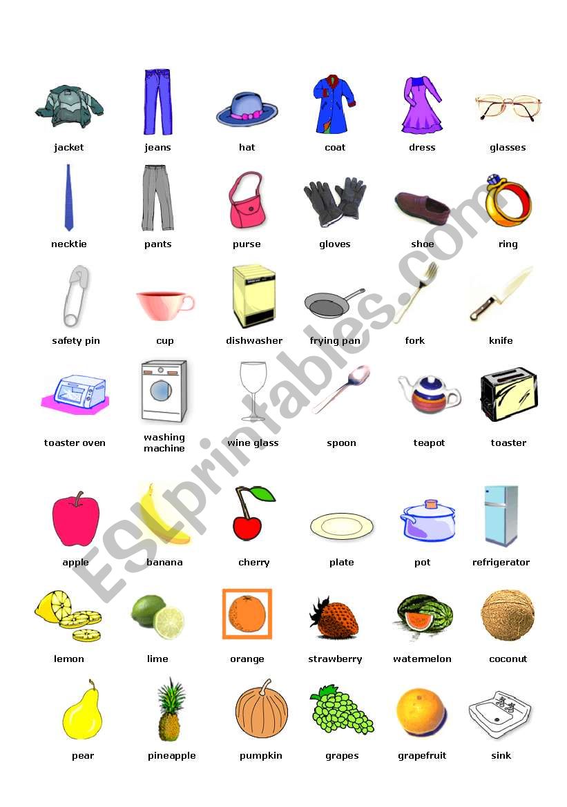 Picture dictionary worksheet