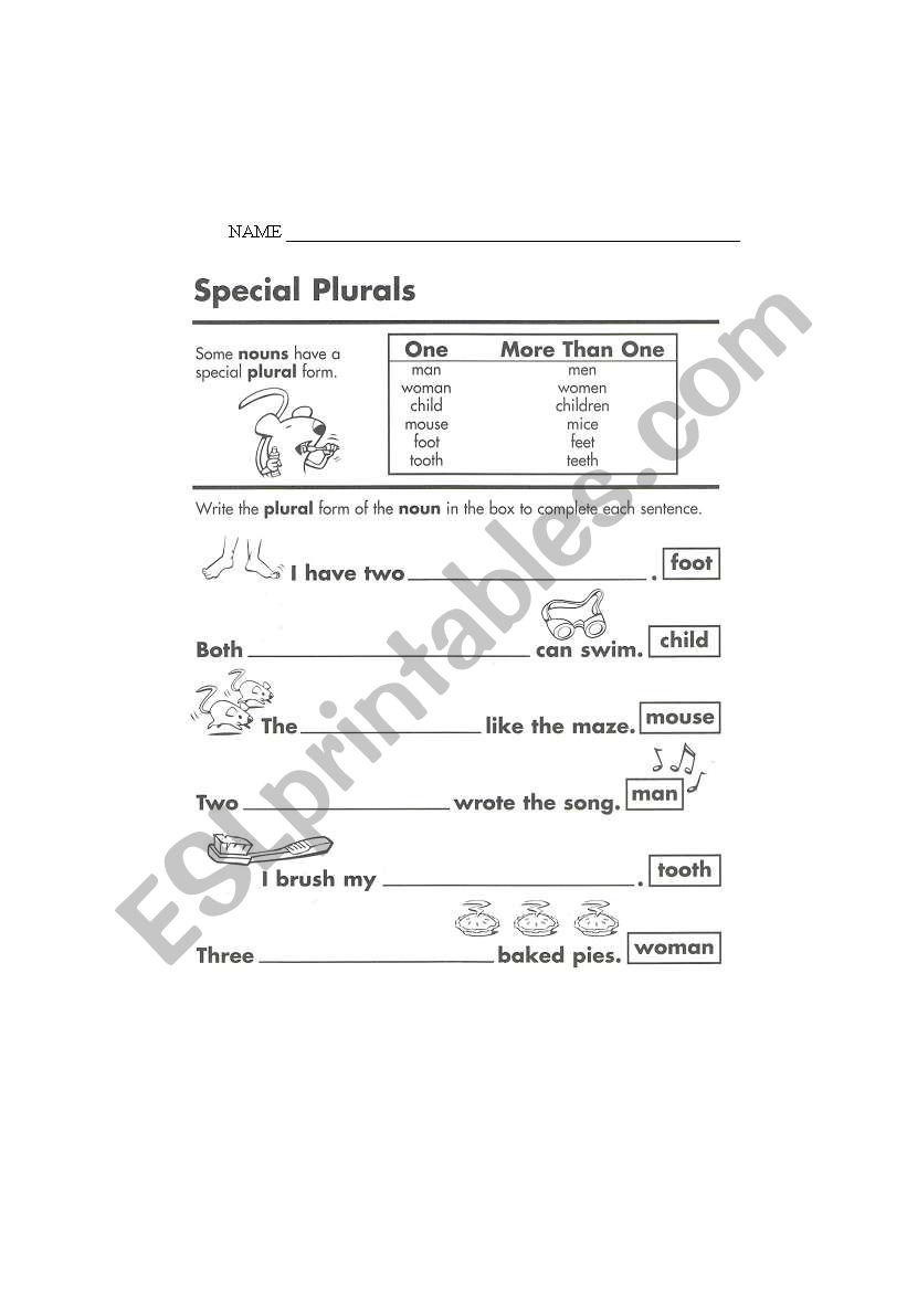 English Worksheets Special Plurals
