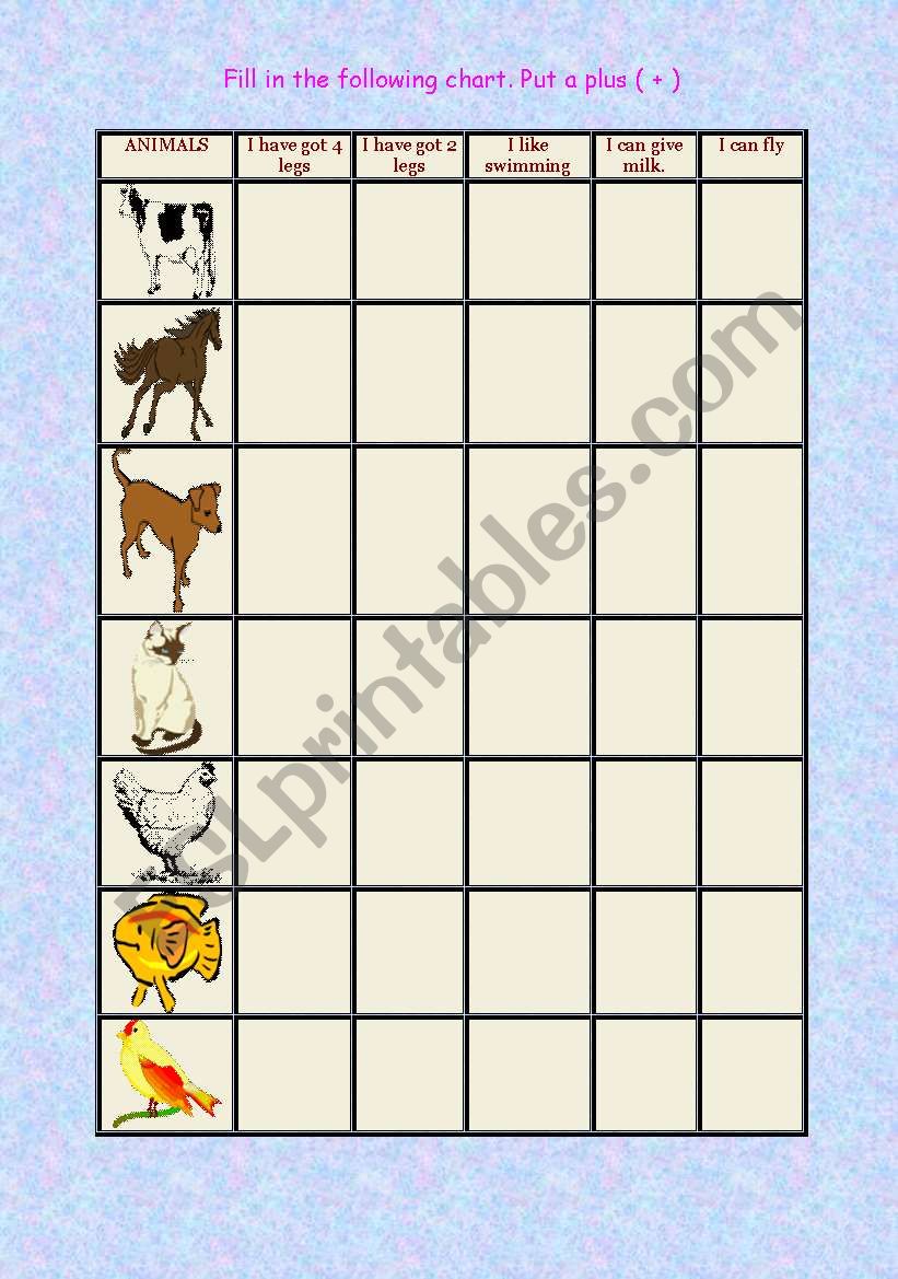 animals worksheet