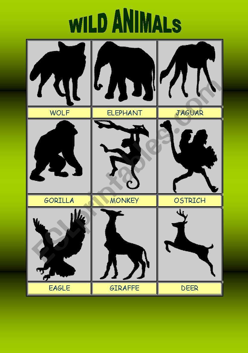 wild animals worksheet