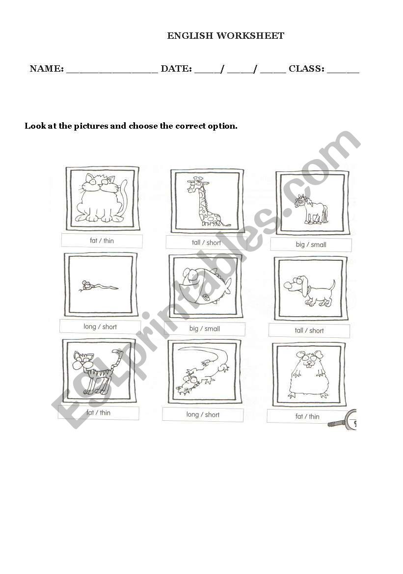 Adjective opposites worksheet