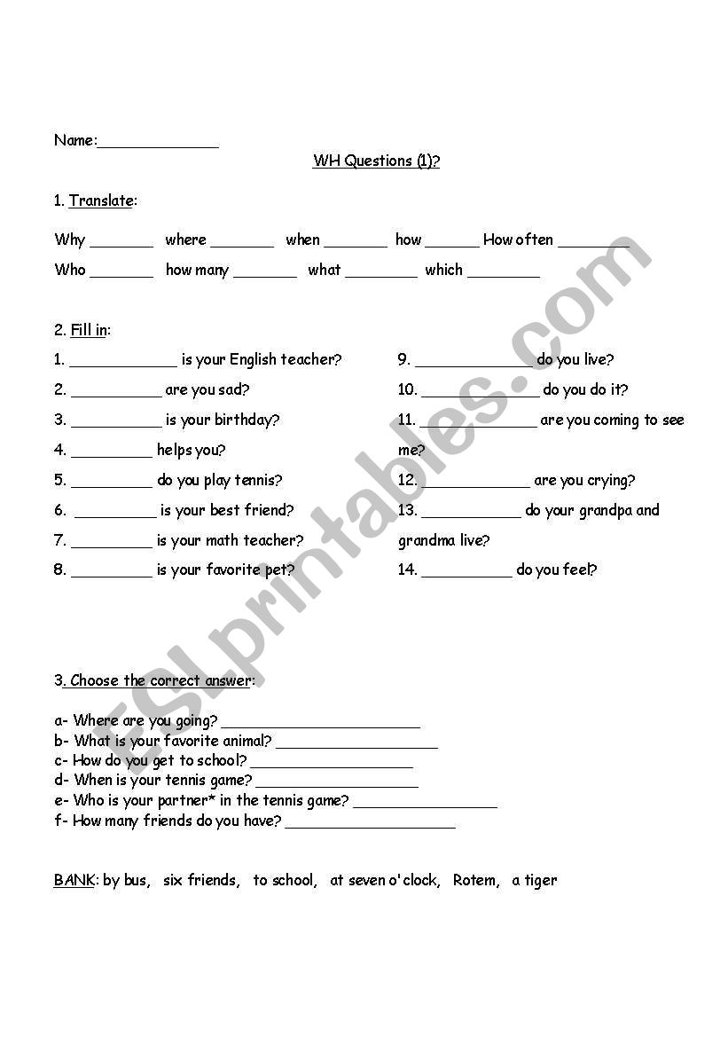 wh question  worksheet