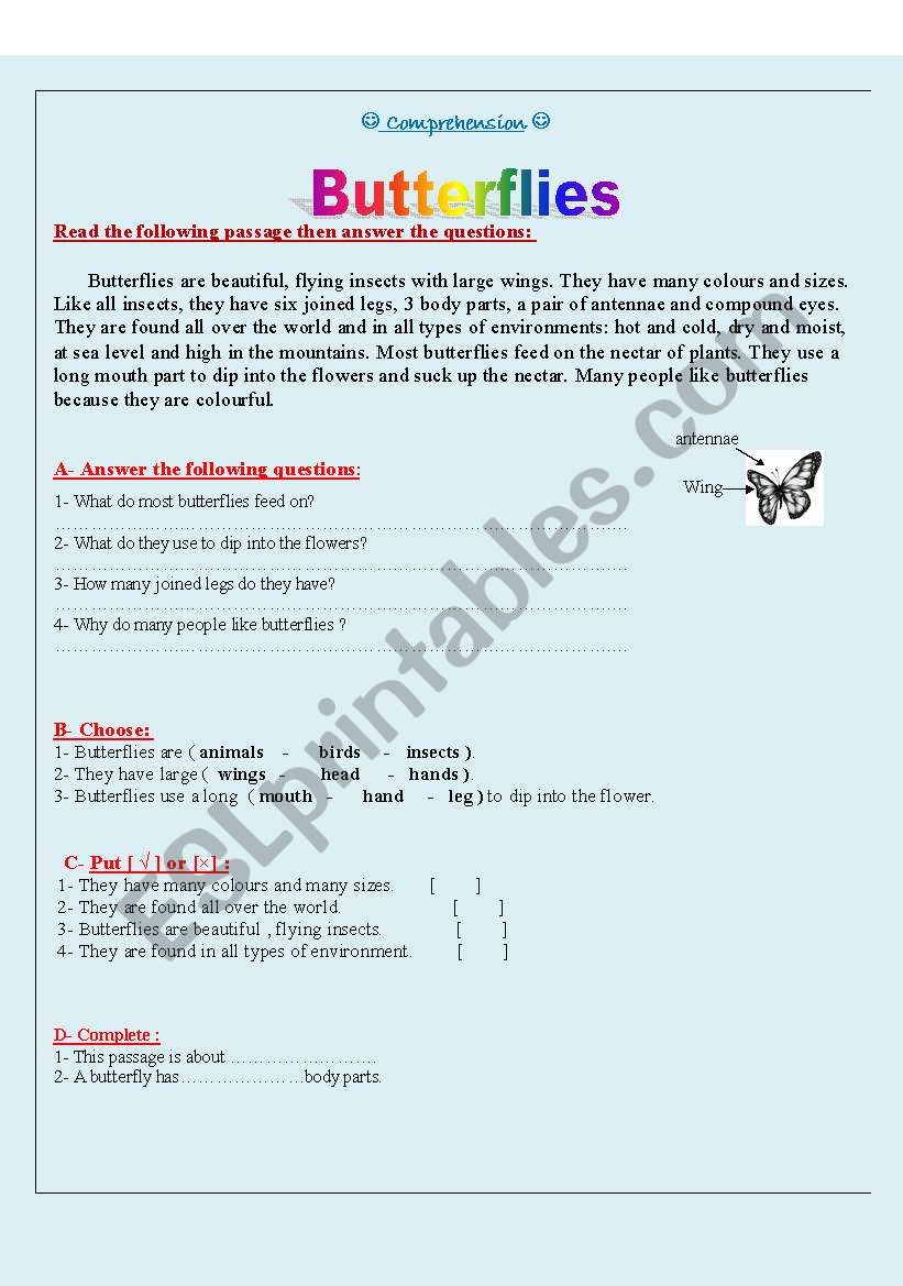 Butterflies worksheet