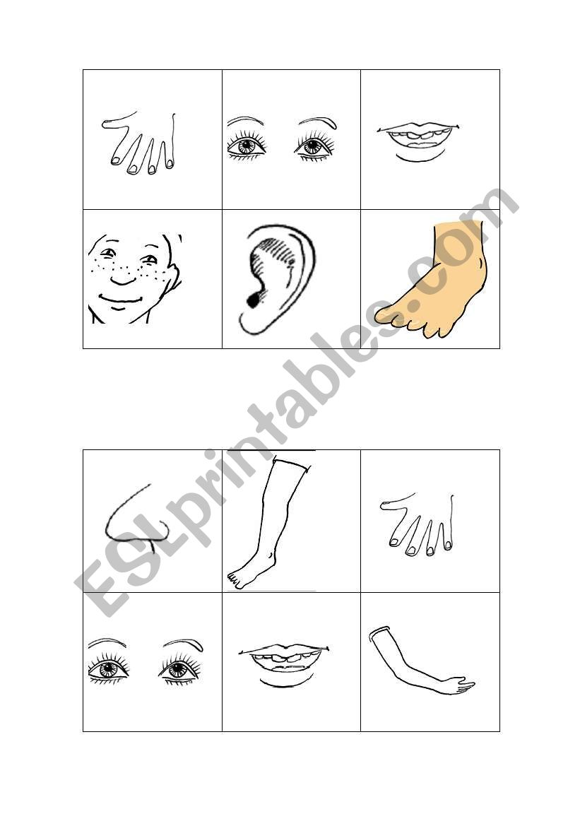 body parts lotto worksheet