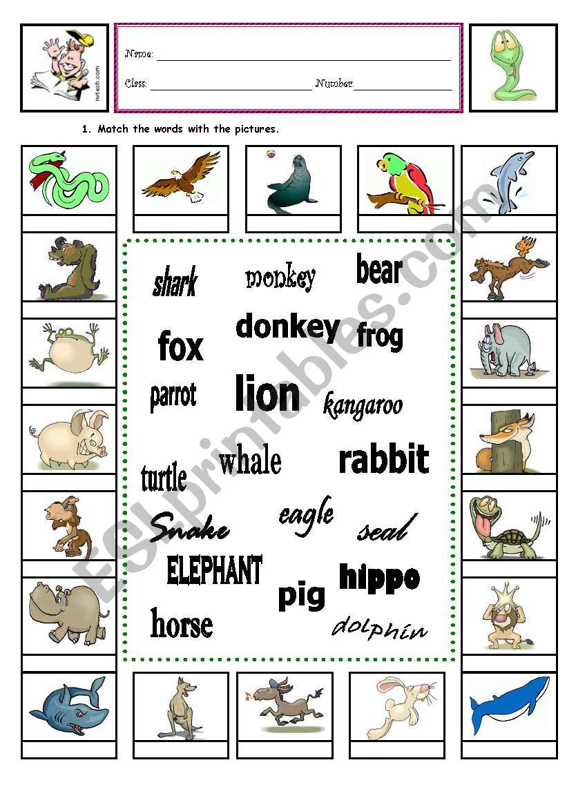 Animals worksheet