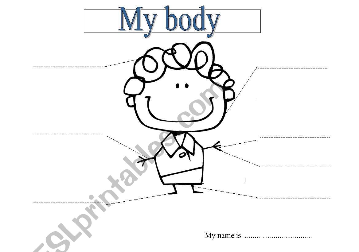 My body worksheet