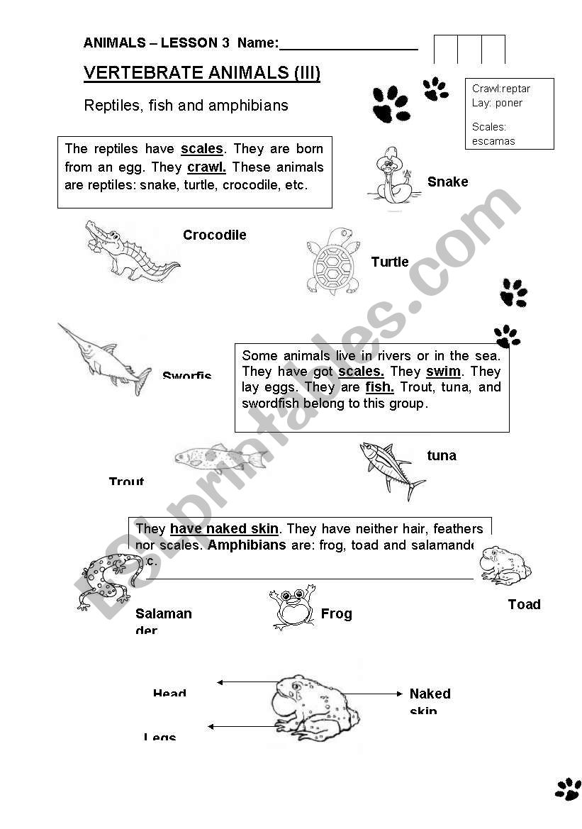  Vertebrates III : Amphibians,reptiles and fish