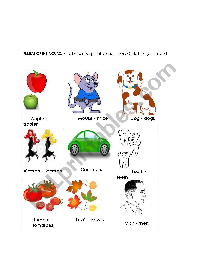 FIND THE CORRECT NOUN worksheet