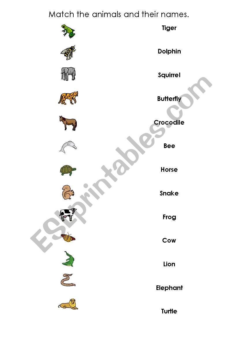English worksheets: Match the animals and their names