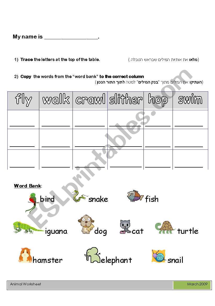 Animal + Verbs worksheet worksheet