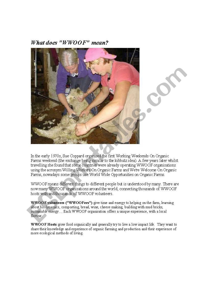 What does WWOOF mean? worksheet