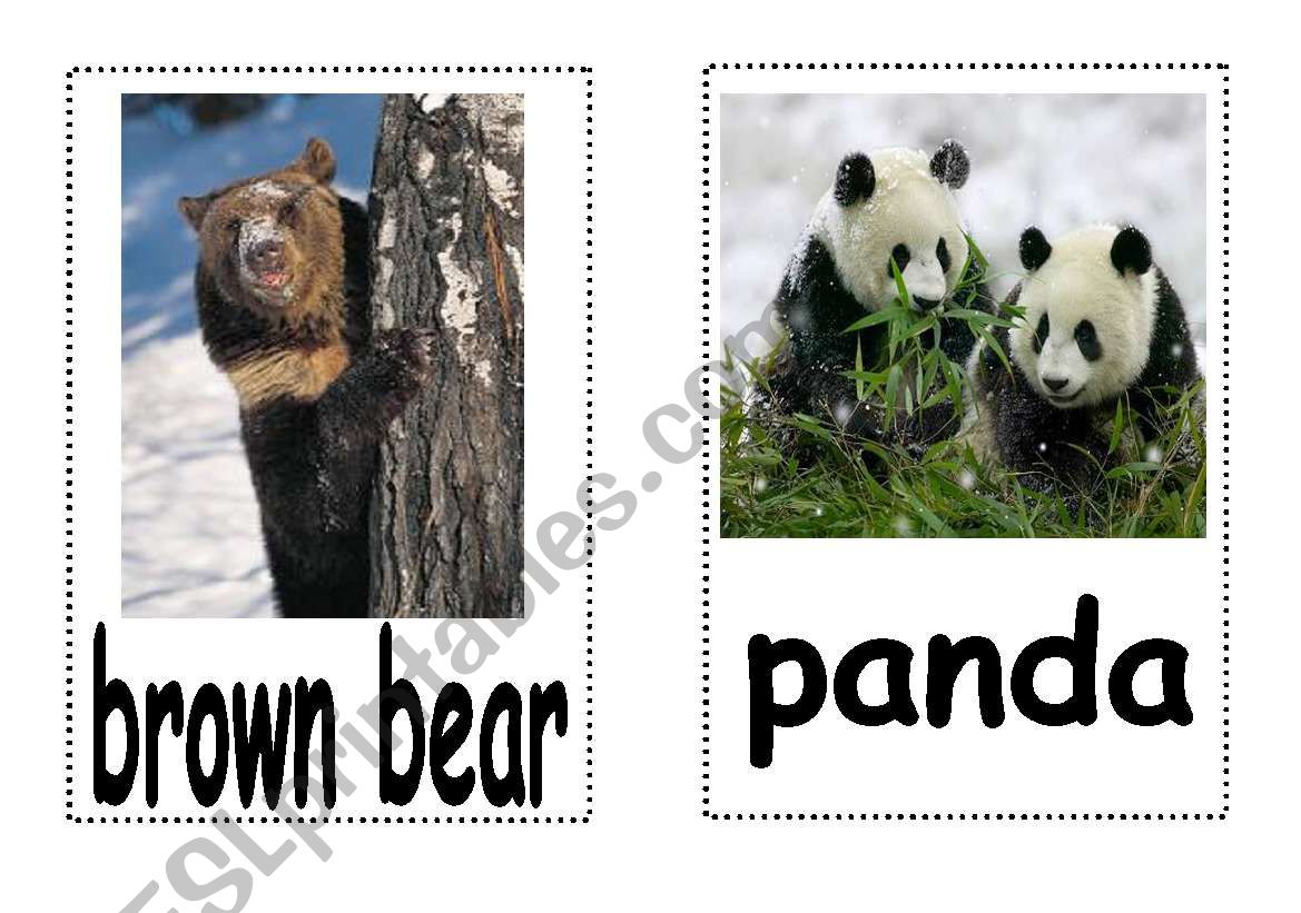 Animals : Flash Cards - Part II