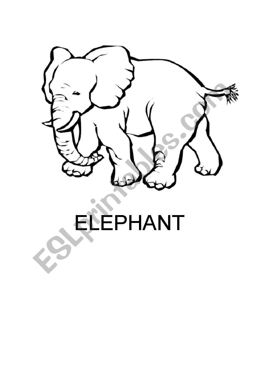 my jungle book worksheet