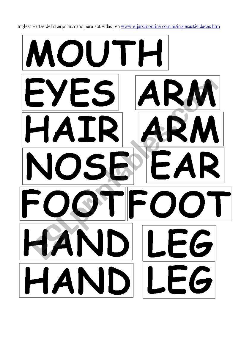 parts of body worksheet