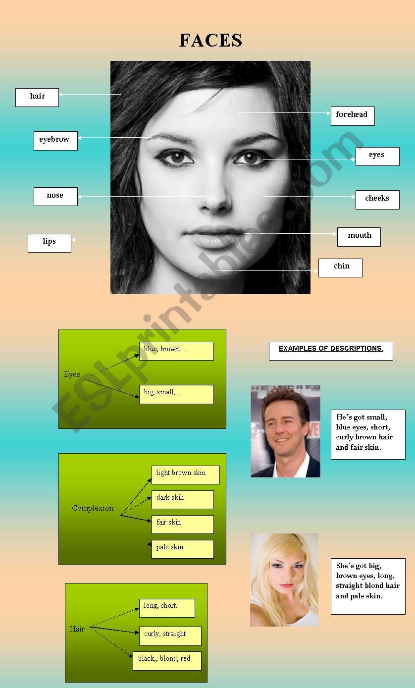 Faces worksheet