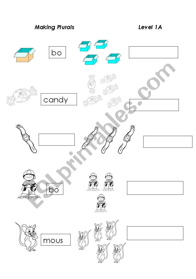 Plurals worksheet