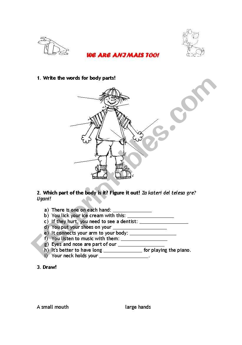 WE ARE ANIMALS TOO worksheet