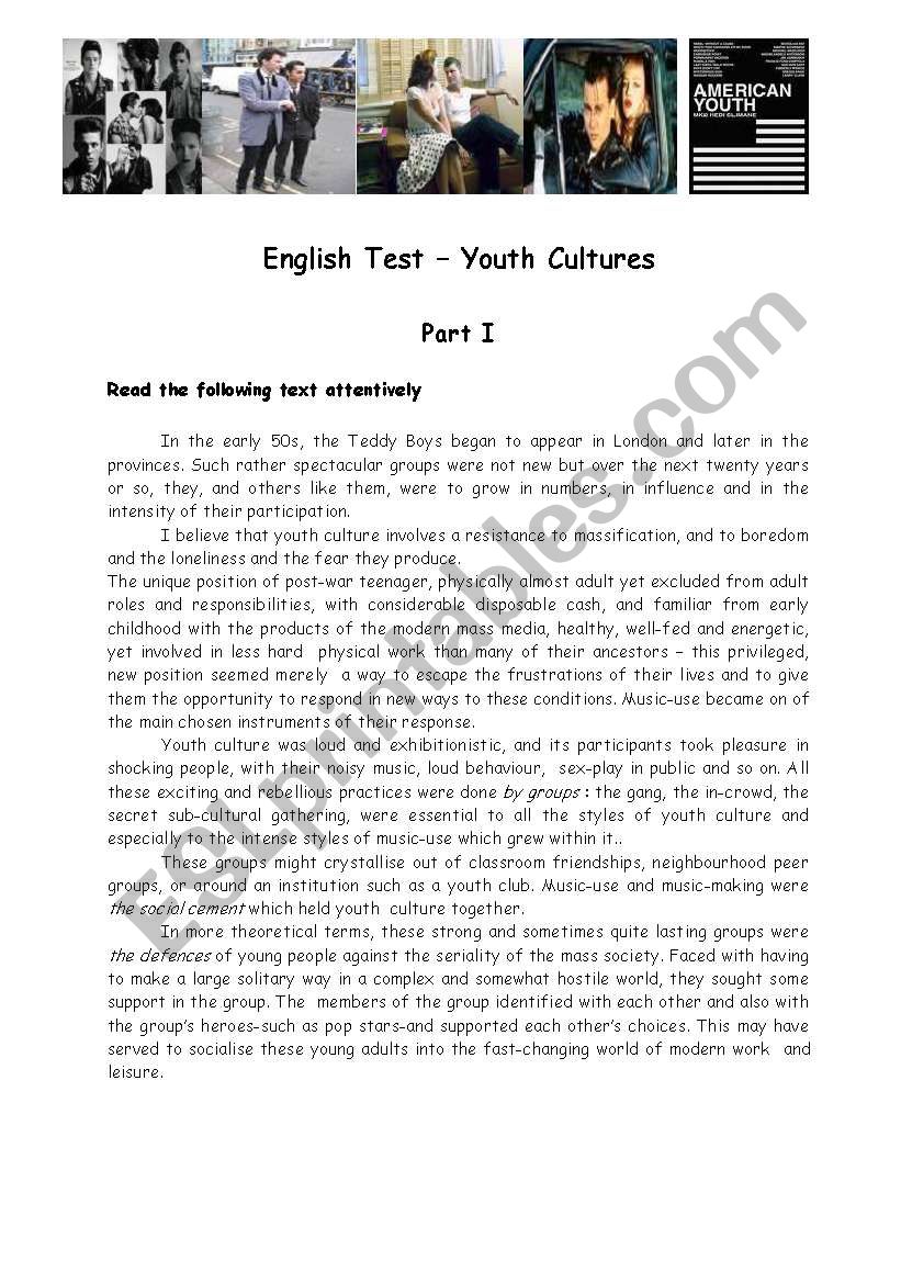 Youth Cultures worksheet