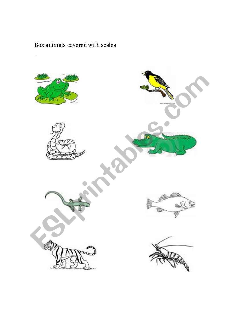 English worksheets: Animals covered with scales