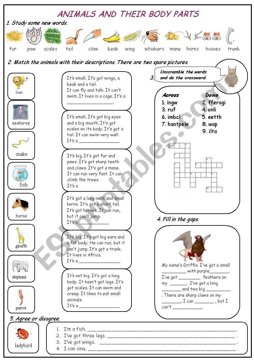 Animals and their body parts worksheet