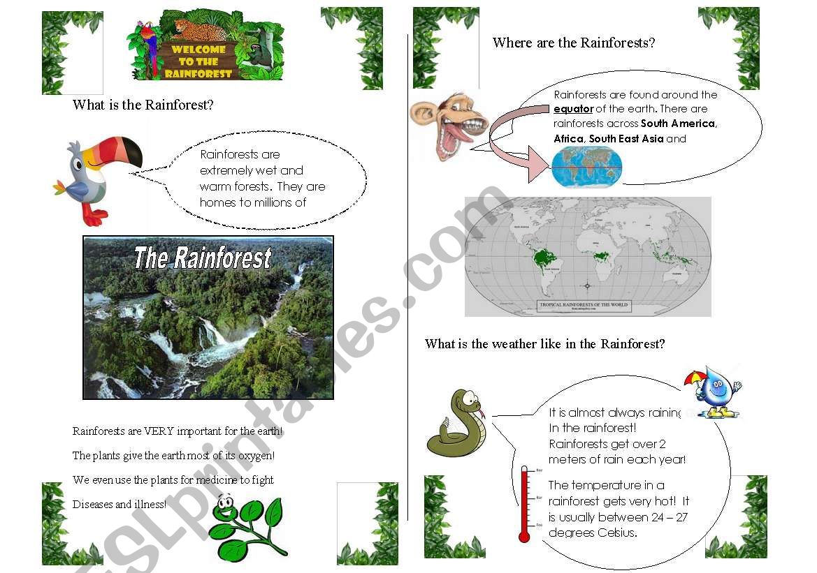 The Rainforest worksheet