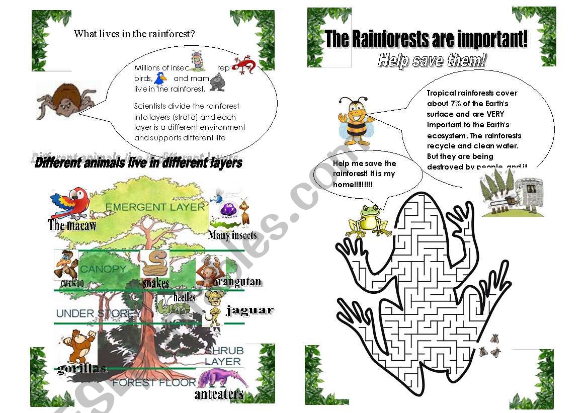 The Rainforest- part 2 worksheet
