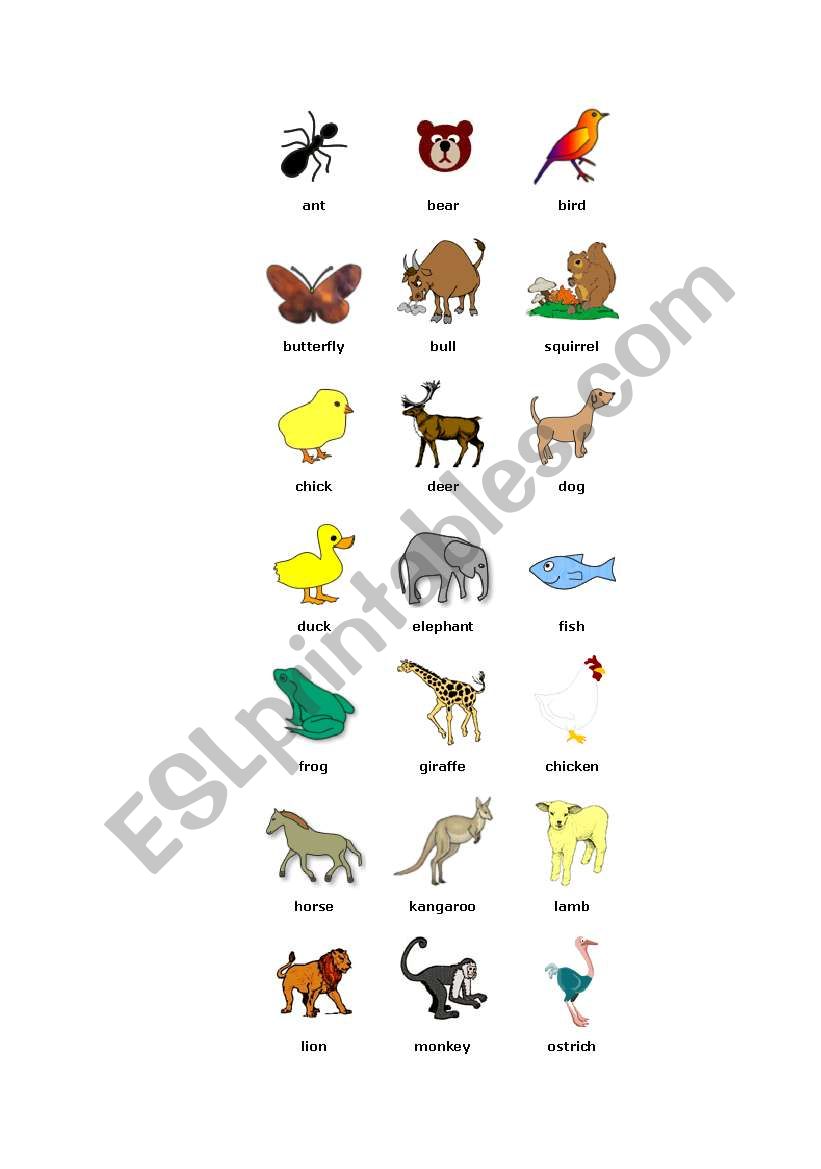 Animals Picture Dictionary (1st part)