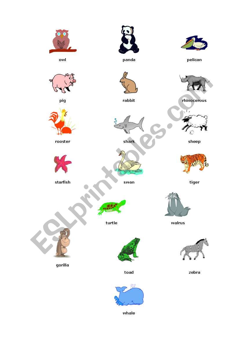 Animals Picture Dictionary (part 2)