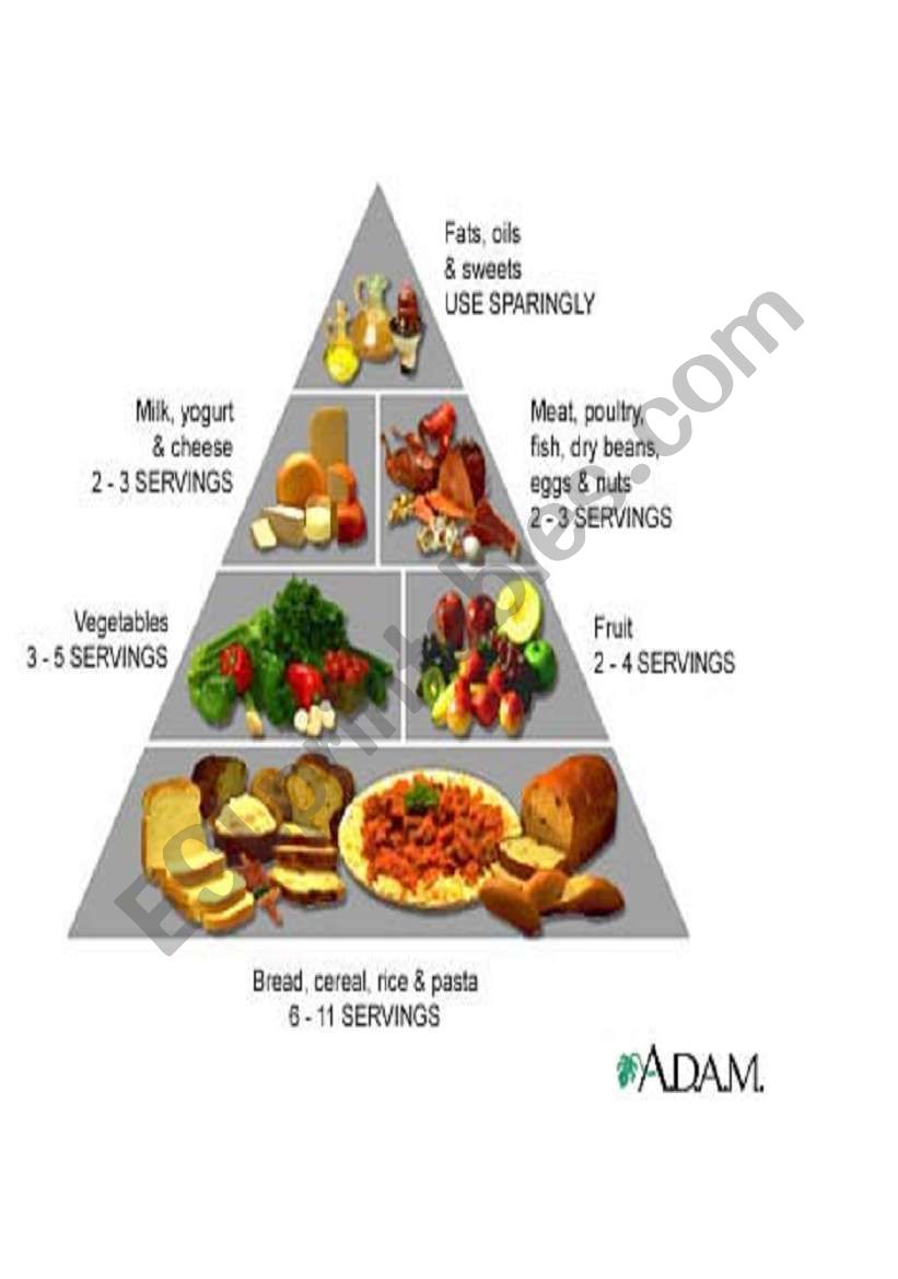 pictures about food worksheet