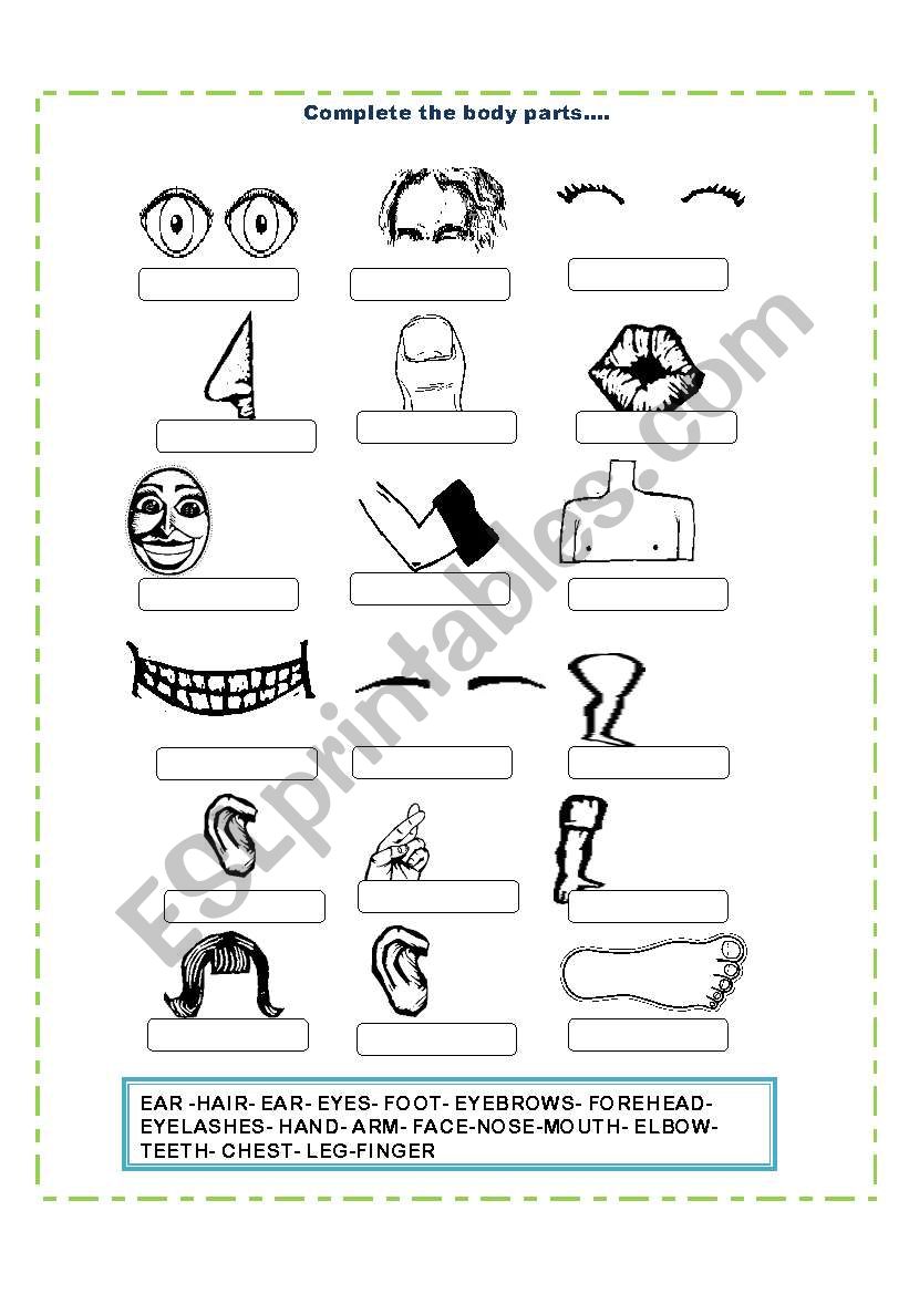 Body Parts Fill in the blanks worksheet