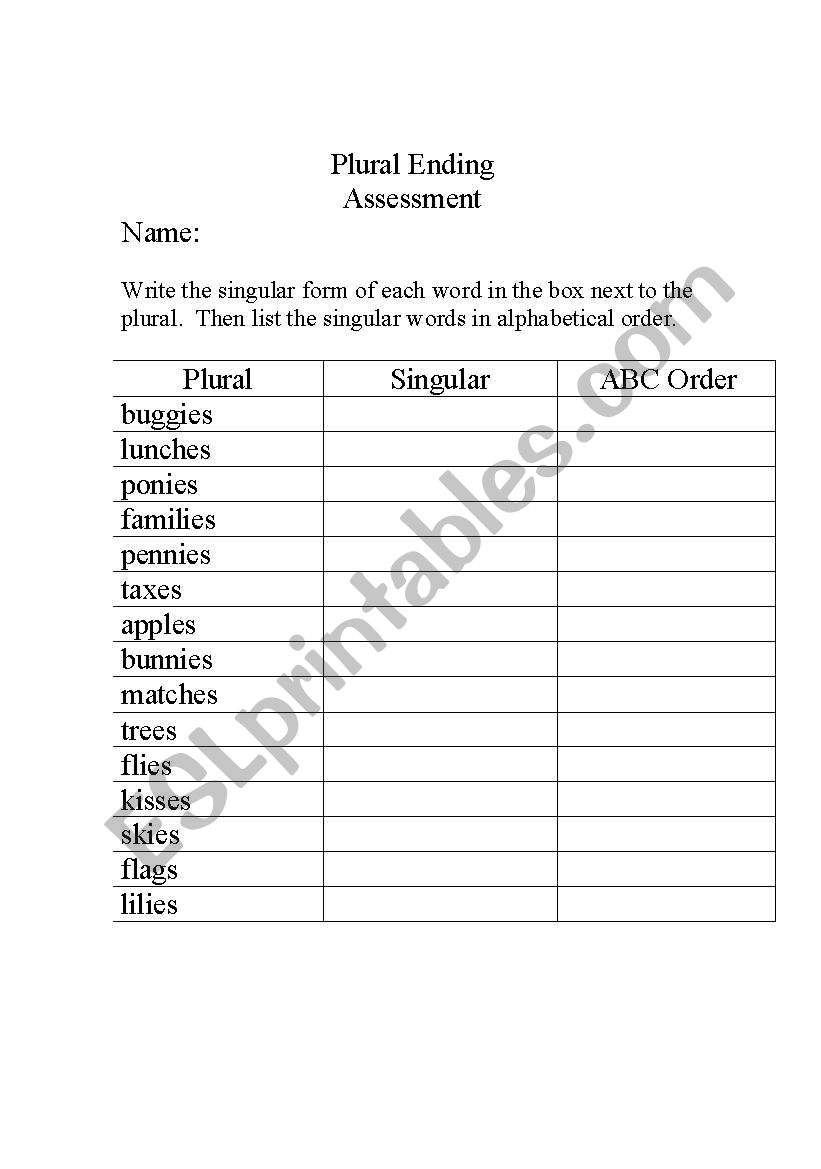 Plural Ending Assessment worksheet