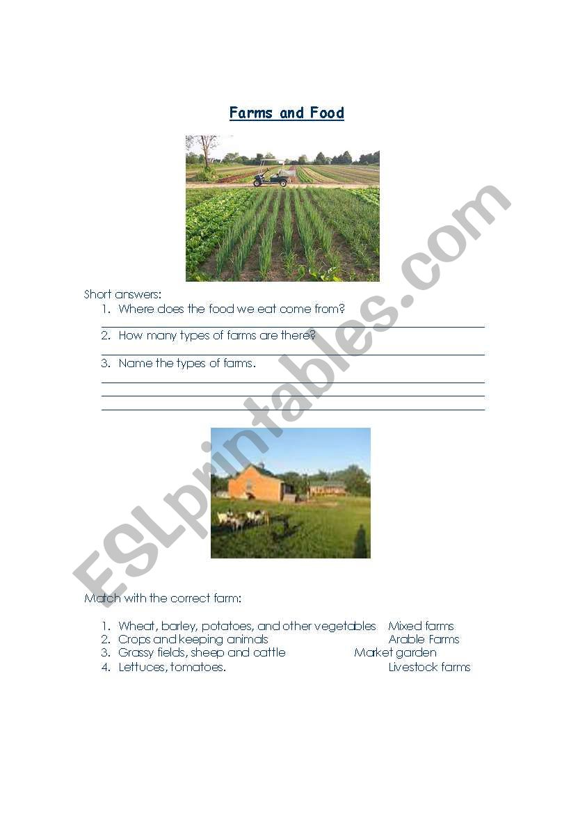 Farms and Foods worksheet
