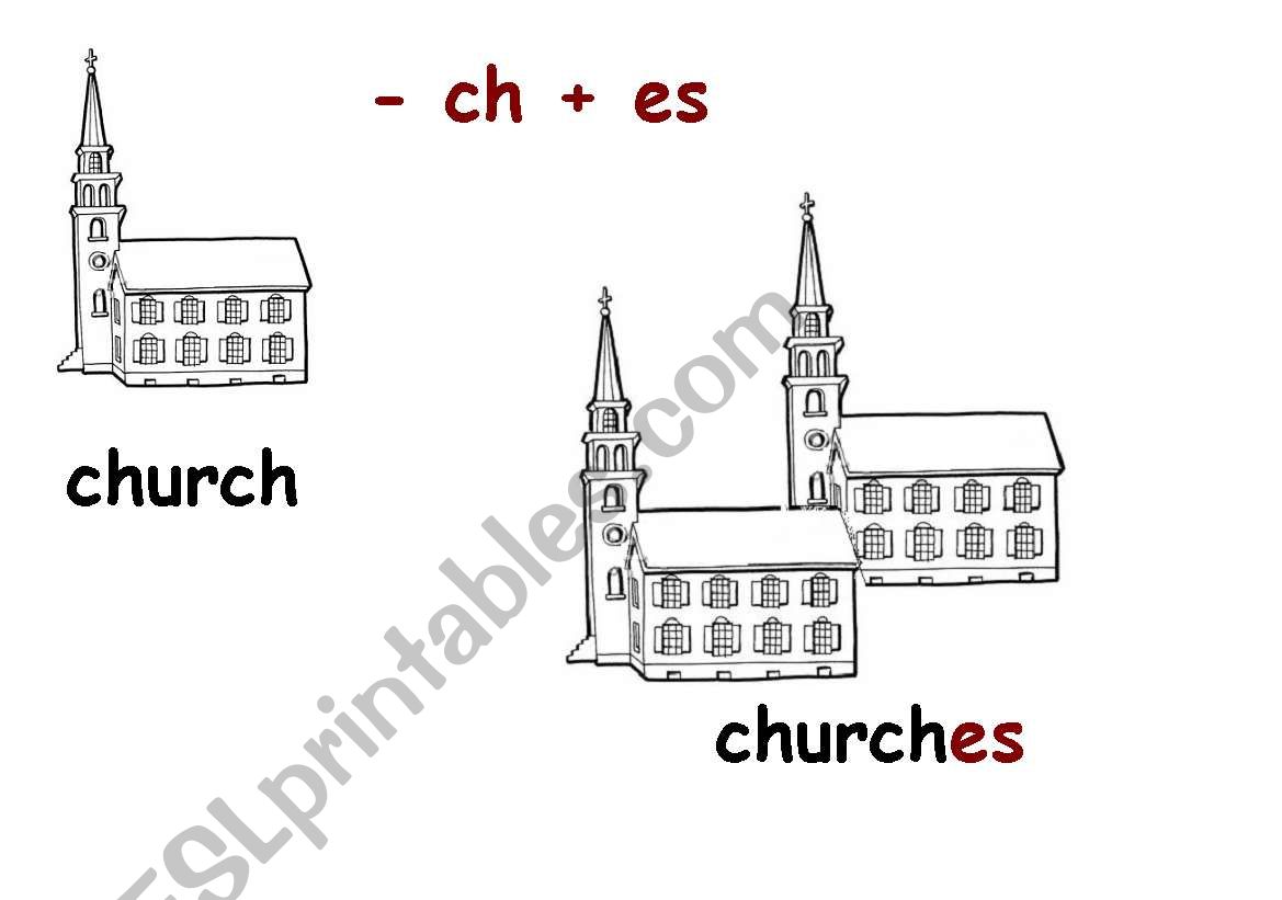 Plural nouns 2 worksheet