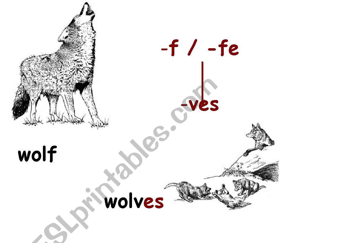 Plural nouns 4 worksheet