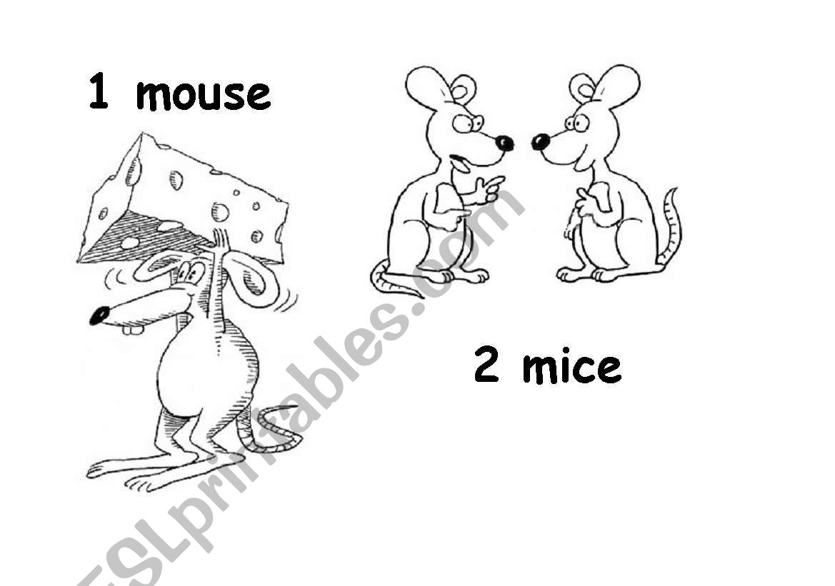 Plural nouns 6 worksheet