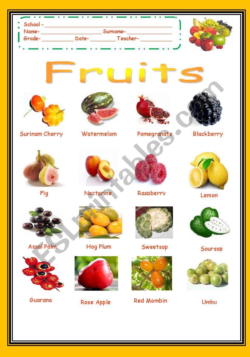 Fruits worksheet