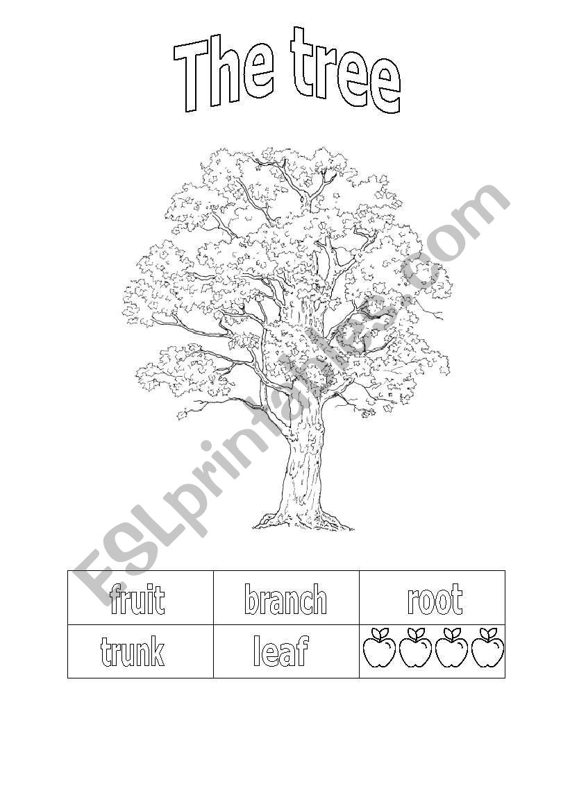 the tree parts worksheet