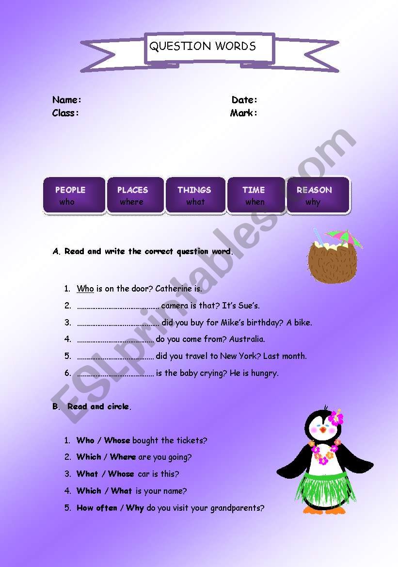 Wh Questions & Tag Questions worksheet