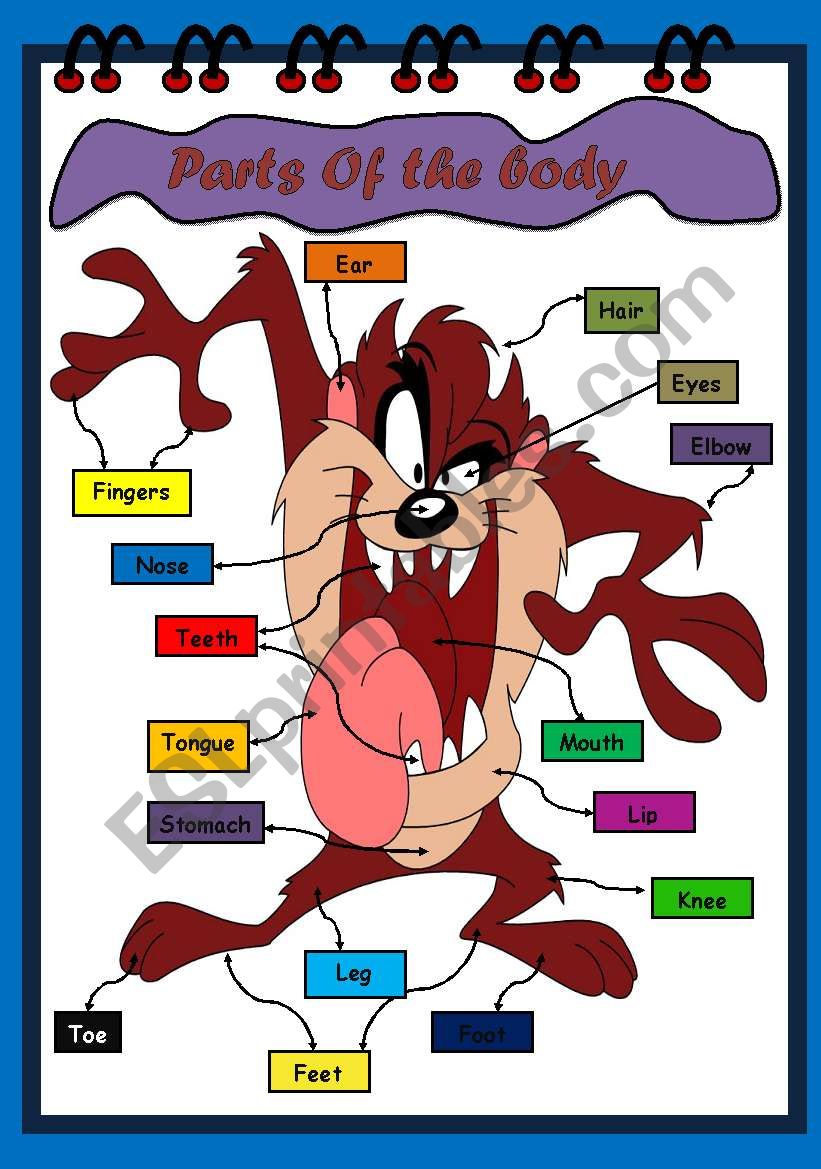 Parts of the Body worksheet